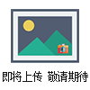 42859900進油過濾器|42859900|